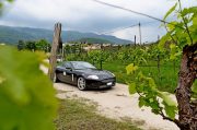 Le Jaguar nella zona del Prosecco e Cartize (101/152)
